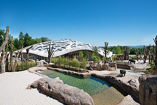 Photo of the Elephant Park in Zurich from the outside. A large wooden roof construction of the building can be seen.