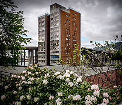 Foto des Wohn-Hochhaus 