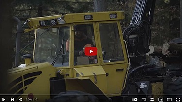 Foto eines gelben Rückezugs, der Baumstämme aus den Wald zieht.