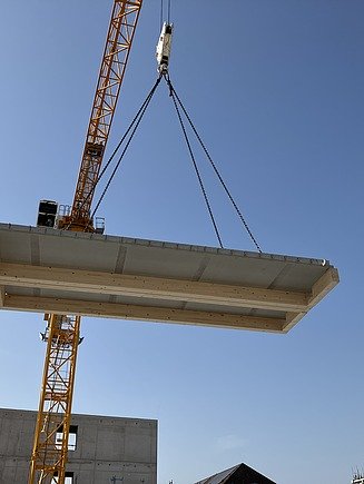 Timber construction work at the Mannheim green depot