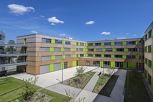 Photo of the Stadtwerke Lübeck administration building. You can see a modern timber construction.