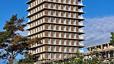 Foto des Holzgebäudes CARL in Pforzheim. Man sieht eine Außenaufnahme mit brauner Holzfassade.