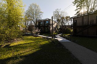 Photo of a path along small wooden houses with flat roofs. Trees and sunny mood.