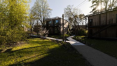 Photo of a path along small wooden houses with flat roofs. Trees and sunny mood.