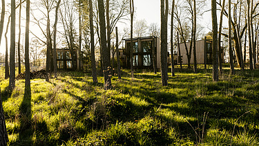 Foto von einem Wald mit kleinen Holzhäuschen. Man sieht auch viel Gras.