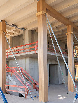 Shell construction. Wooden interior of the new UmweltHaus in Nuremberg.