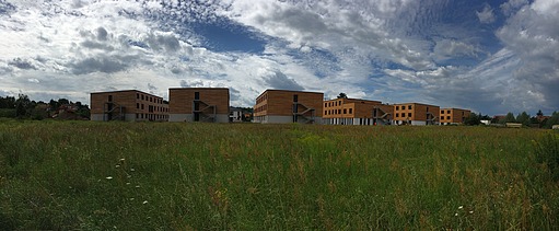 Foto des Studentenwohnheimes in Golm. Man sieht mehrere Holzgebäude in der Ferne.