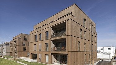 Photo of two multi-storey buildings made of wood and with a wooden façade.
