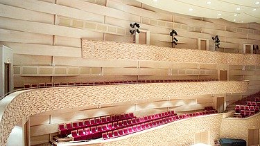 Photo of the concert hall of the Mariinsky Theater in St. Petersburg. FSH acoustic elements.