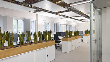 Photo of an office space with many plant boxes.
