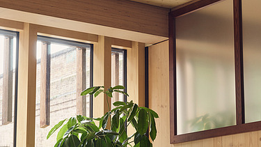 Photo of an interior of the Black and White office in London. You can see wooden surfaces, windows and a plant.