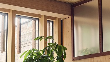 Photo of an interior of the Black and White office in London. You can see wooden surfaces, windows and a plant.
