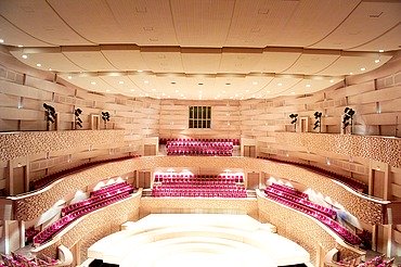 Concert hall Mariinsky Theater St. Petersburg Photo of the concert hall of the Mariinsky Theater in St. Petersburg. FSH acoustic elements.