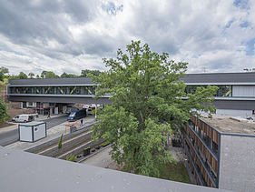 Photo of a wooden bridge structure at the district administration office in Calw.