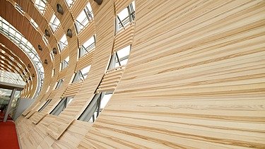 Photo of the Charles de Gaulle Paris airport terminal from the inside. Curved wooden construction.