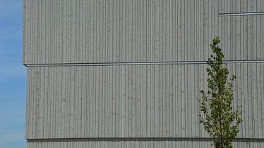 Photo of the wooden façade of the Diedorf secondary school sports hall.