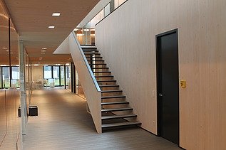 Foto der Anwaltskanzlei FGS Augsburg. Moderner Innenraum mit vielen Holzoberflächen.