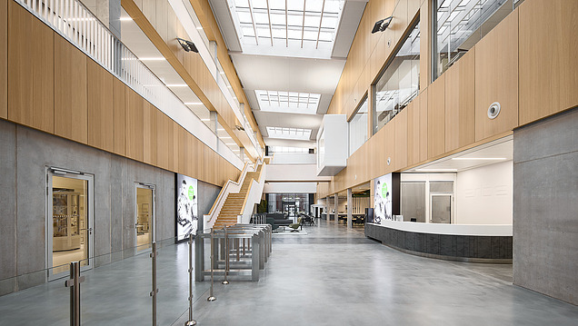 Foto eines Innenraumes mit vielen Holzoberflächen.