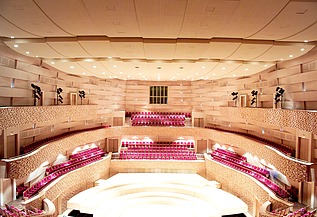 Foto des Konzertsaals des Mariinsky Theaters in St. Petersburg. FSH-Akustikelmente.